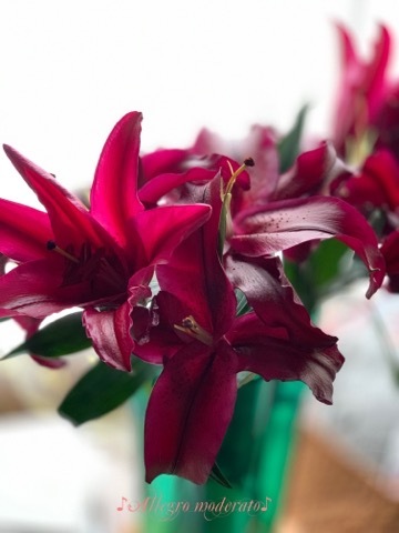 d0240961_17222112.jpeg