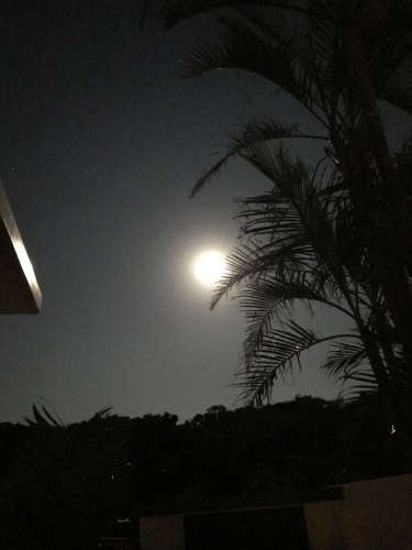 Dynamic sky._c0153966_19252285.jpeg