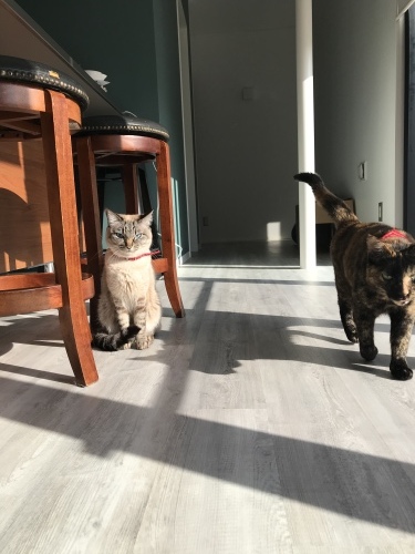 Dynamic sky._c0153966_19451447.jpeg