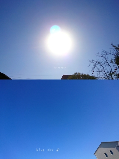 12/23(日)② さんぽ病院うろこ雲。【12/21の事】_d0362666_20565463.jpg