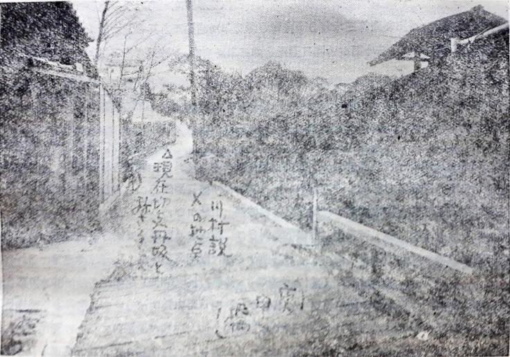 2005/6/4大江戸怪異重箱突つき(お岩さん、滝沢馬琴墓、お玉ヶ池写真、八兵衛石補記)_b0116271_09311913.jpg