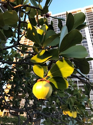 b0197576_22490479.jpeg