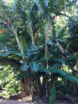 b0197576_22493850.jpeg