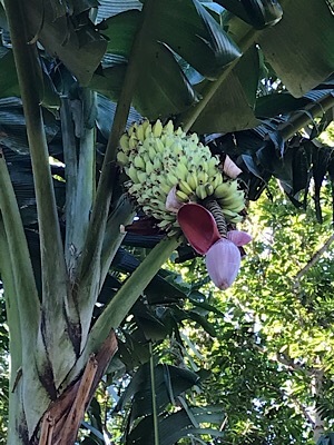 b0197576_22502642.jpeg