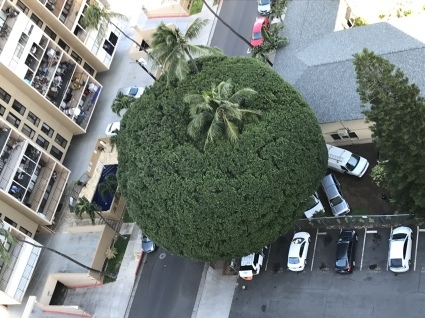 b0197576_22554217.jpeg