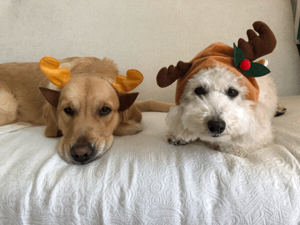 e0366676_00313690.gif