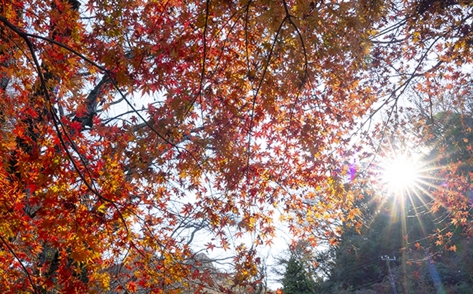 b0145398_00095223.jpg