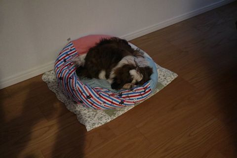 c0090198_17384094.jpg
