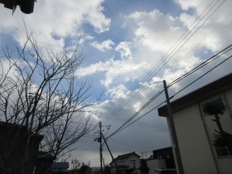 a0203003_16585357.jpg