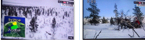 f0231709_19581734.gif