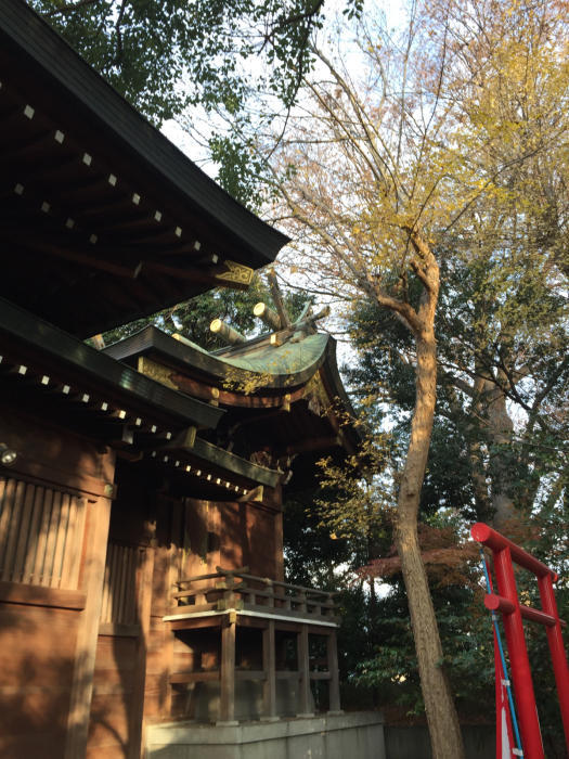 神社巡り『御朱印』鎮守氷川神社_a0251116_17314204.jpg