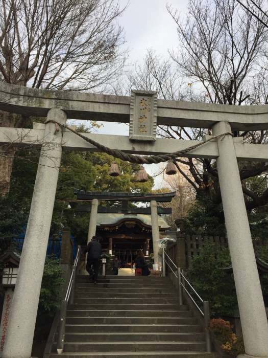 神社巡り『御朱印』鳩ヶ谷氷川神社_a0251116_17431271.jpg