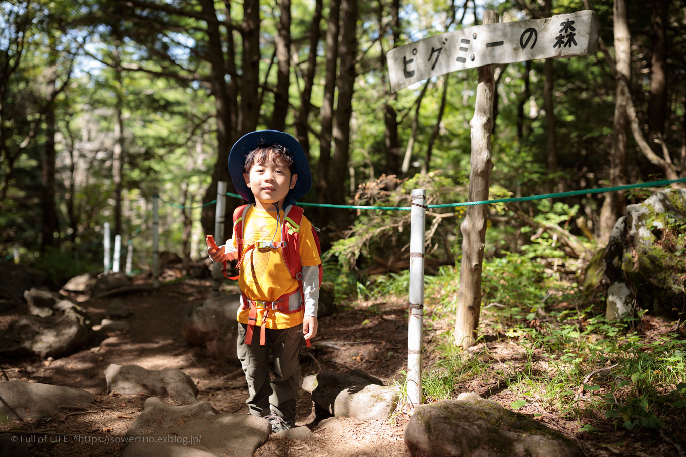 晩夏の池ノ平湿原「三方ヶ峰」山頂へ_c0369219_18382739.jpg