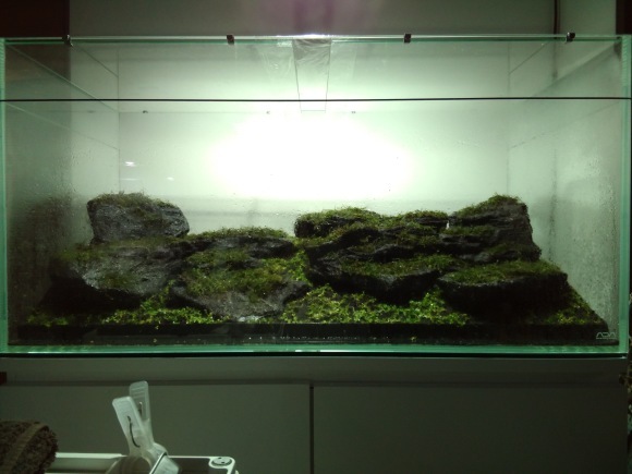a0262622_22293867.jpeg