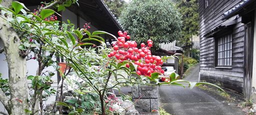 f0213825_11373032.jpg