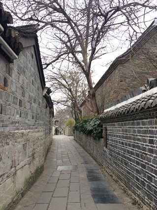 f0371533_21432104.jpg
