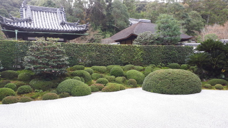 手打ち蕎麦 楽庵 　（京田辺市）_d0106134_22054785.jpg