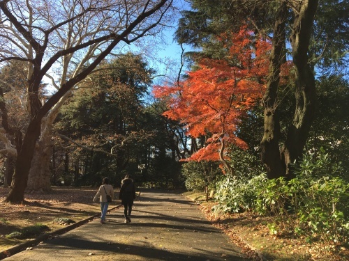 b0330040_21275115.jpeg