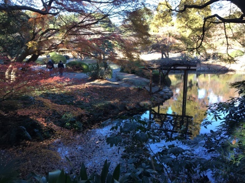 b0330040_23121621.jpeg