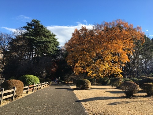 b0330040_23301636.jpeg