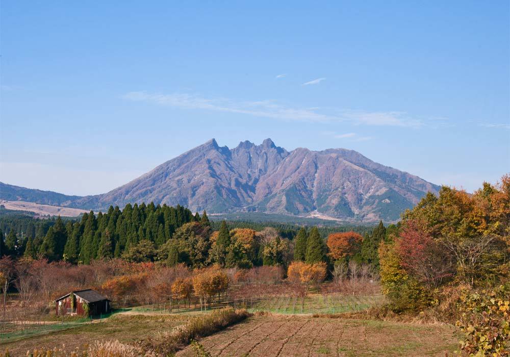 d0238245_08491199.jpg