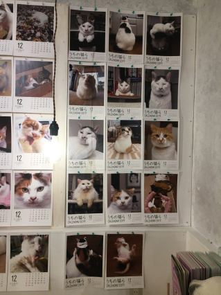 うちの猫らカレンダー通販始めます！_a0028451_19205010.jpg