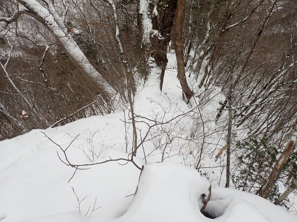 ピセナイ山1027m～本編　2018.12.23_e0352951_19233494.jpg