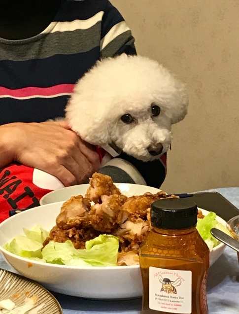 e0141159_18271140.jpeg