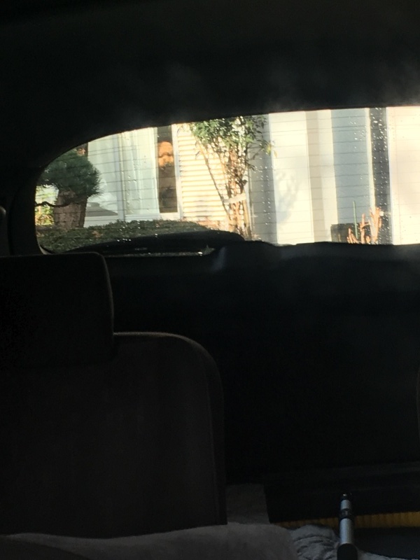 c0283778_11480415.jpeg