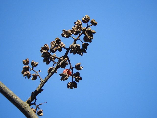 f0378979_15063575.jpg