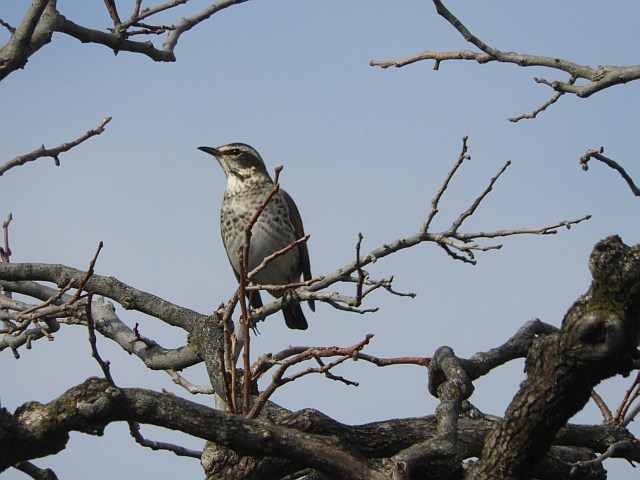 f0378979_15111410.jpg