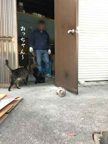 a0216583_23050910.png