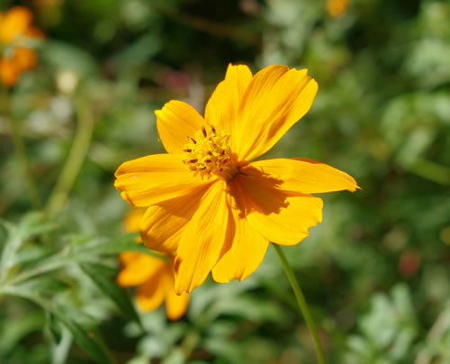 b0123486_09334477.jpg