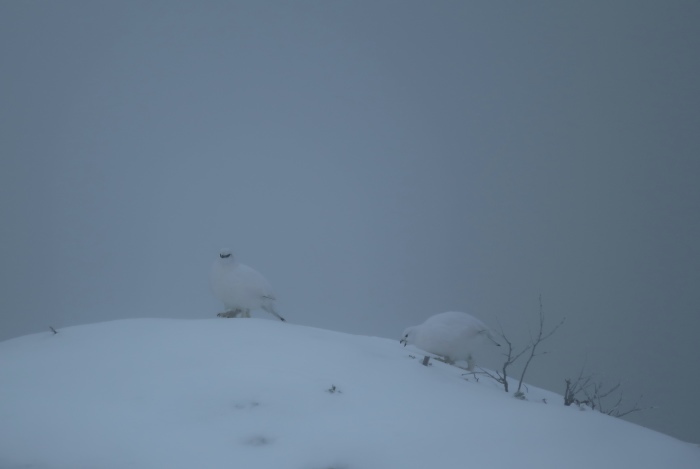 d0138986_13201783.jpeg