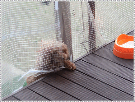 b0175688_00163167.gif