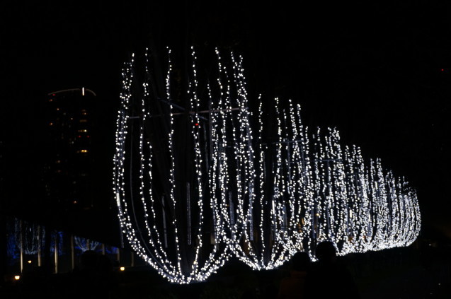 b0178388_23461939.jpg