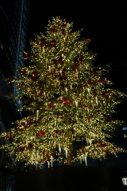 b0178388_23501470.jpg