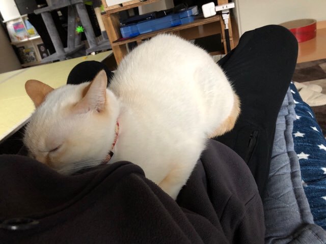 b0035391_19535220.jpeg