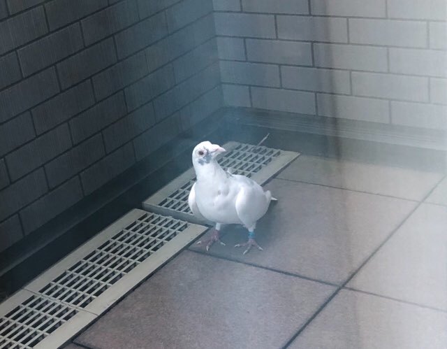 b0035391_19552363.jpeg