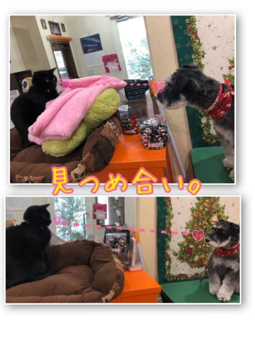 d0269898_18550196.jpeg