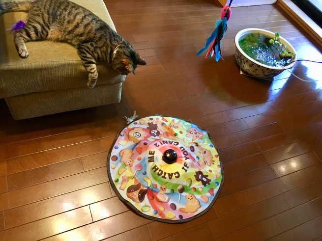 c0362401_09265952.jpeg