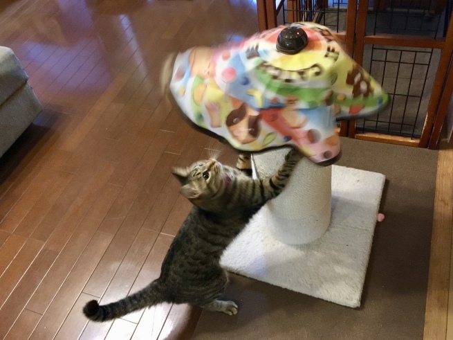 c0362401_09390997.jpeg