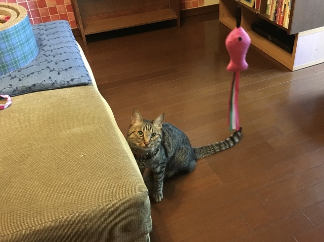 c0362401_09455323.jpeg