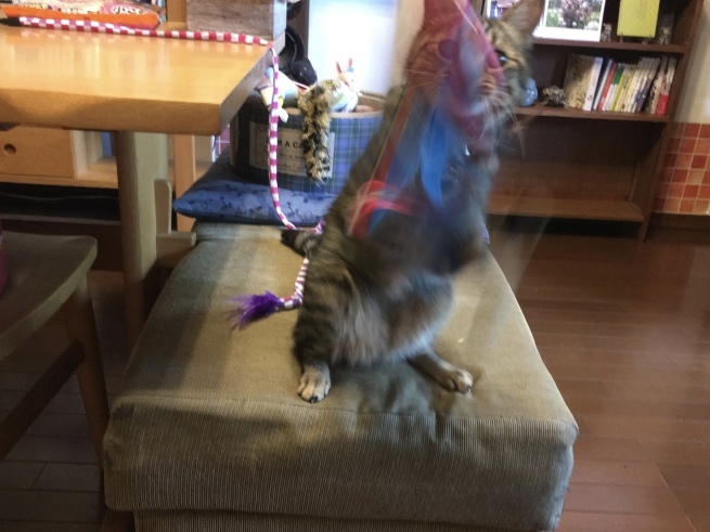 c0362401_10252405.jpeg