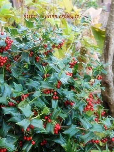 a0123003_09061239.jpg