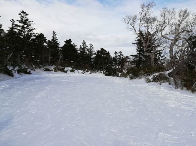 e0142205_11173254.jpg
