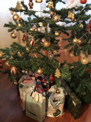 ルーマニアでのクリスマスイブ_a0213806_18552047.jpeg