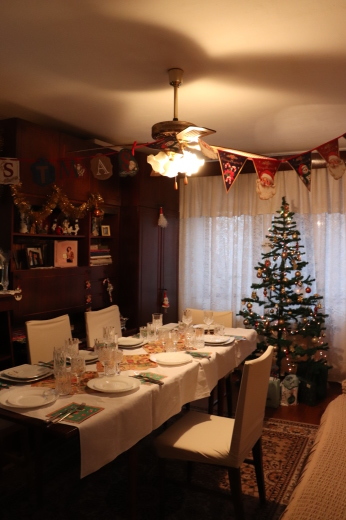 ルーマニアでのクリスマスイブ_a0213806_18580663.jpeg