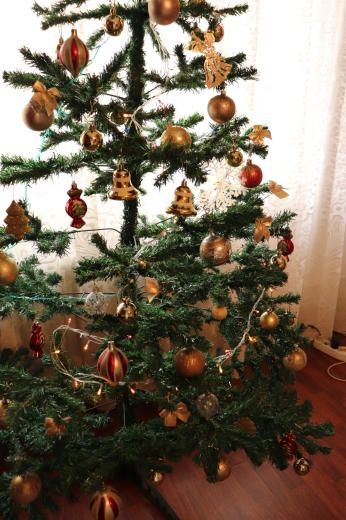 ルーマニアでのクリスマスイブ_a0213806_19000828.jpeg