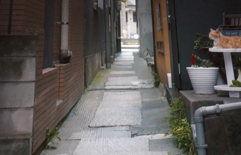 b0133713_08040007.jpg